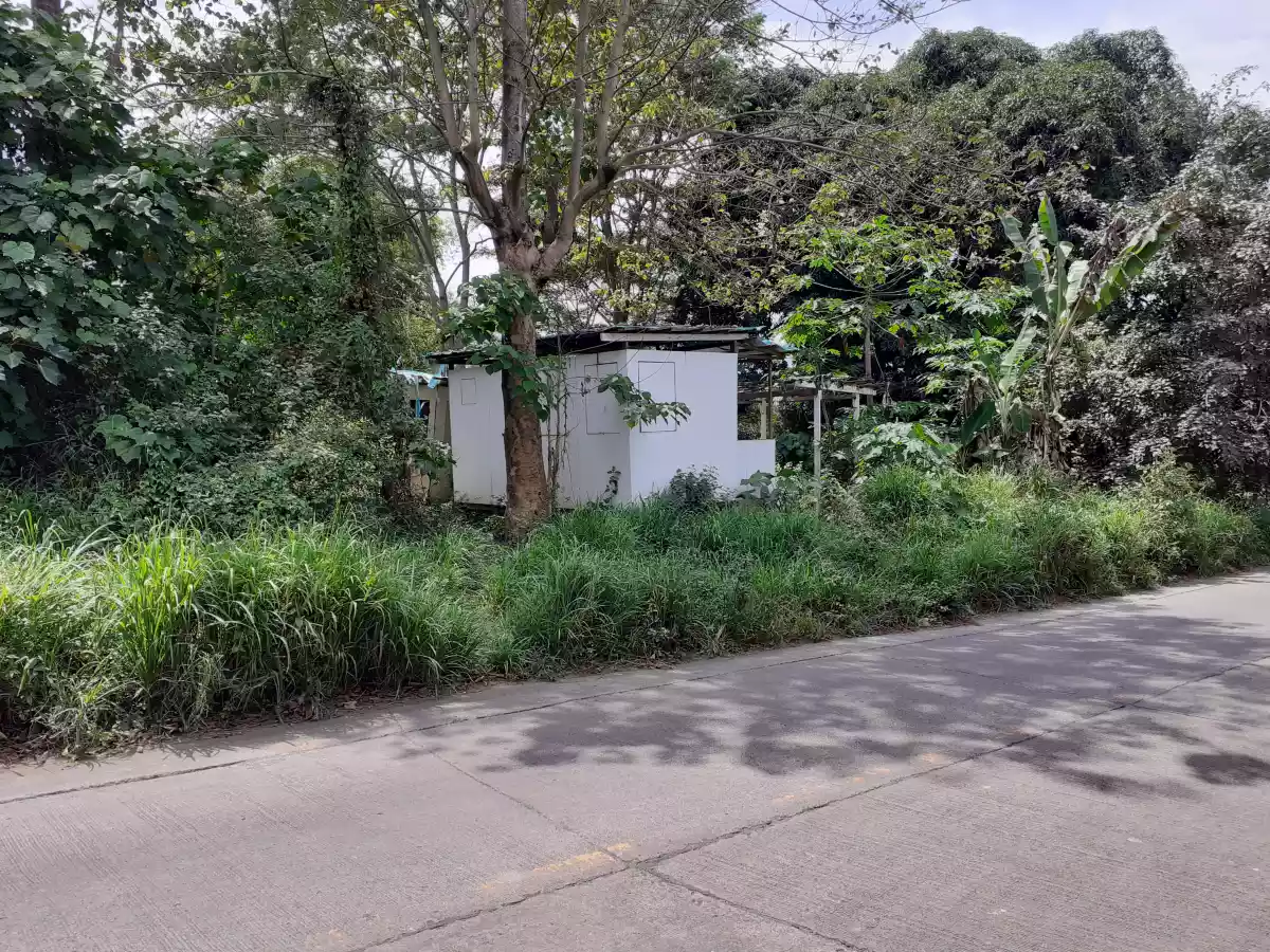 Lot for sale @ Upper Agusan CDO 800sqm — Agricultural Lot in Cagayan de Oro, Misamis Oriental, Philippines — Photo 4
