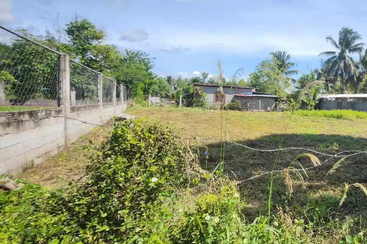Lot for Sale in Purok Malinawon, Conel, General Santos City - photo 6
