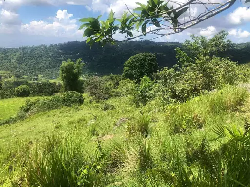 Mountain Top 360? Scenic View Lot — Agricultural Lot in Cebu City, Cebu, Philippines — Photo 4
