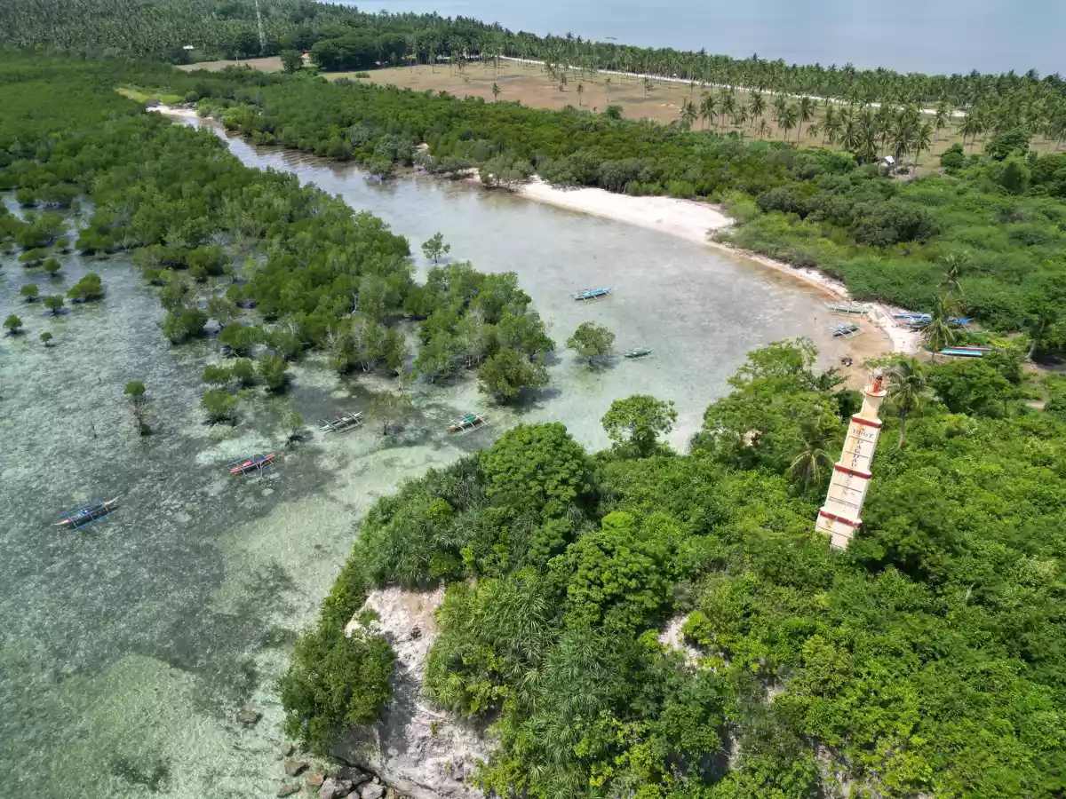 Farm and Beach lot for Sale in Quezon Province — Agricultural Lot in Quezon, Philippines — Photo 4