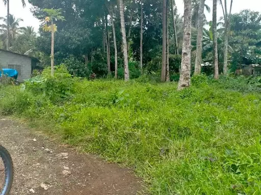 Open photo 14 of 14 — Residential lot for sale