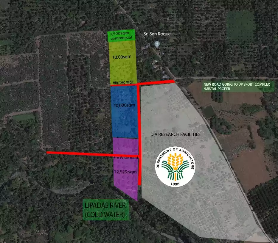 For Sale: Agri Lot in Tugbok, Davao City – Wide Frontage