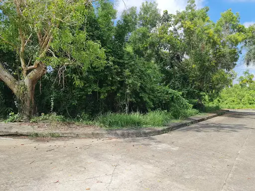 Lot for Sale in Alta Vista Subdivision — Residential Lot in Cebu City, Cebu, Philippines — Photo 5