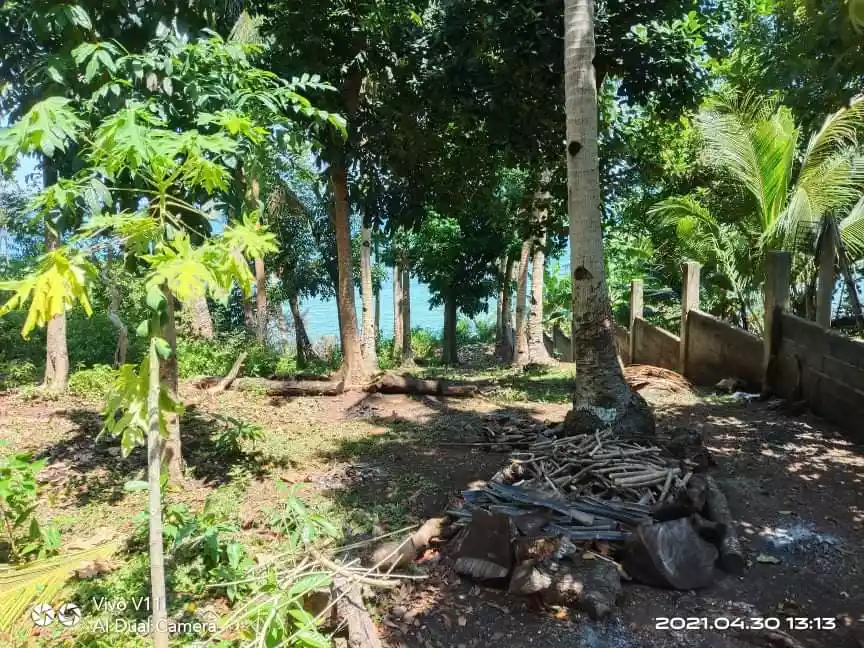 Lot for sale — Agricultural Lot in Bohol, Philippines — Photo 2