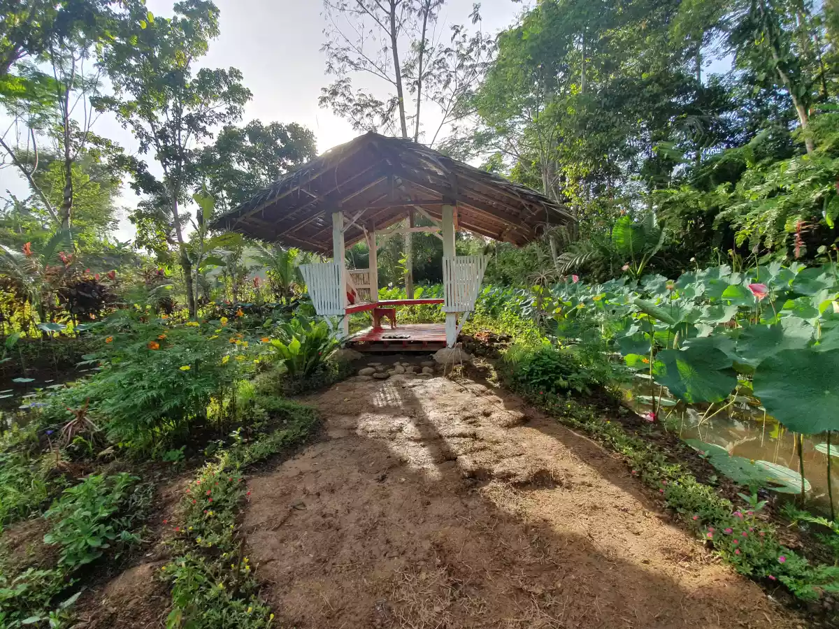 Open photo 12 of 12 — PRIVATE FARM RESORT WITH SWIMMING POOL