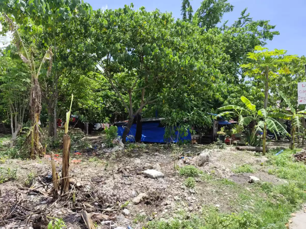 For Sale Lot near CCLX 4583sqm with Titles - photo 5