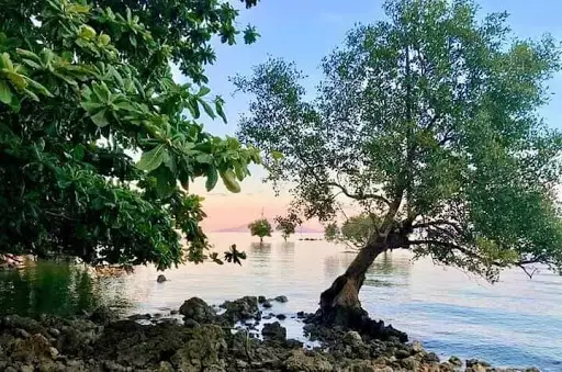 Open photo 16 of 29 — Darling Caba?as Beach 
