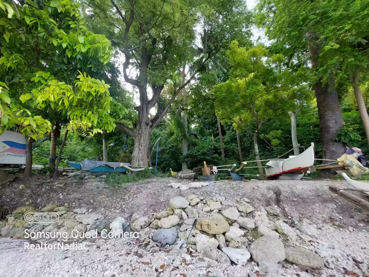 BEACH LOT for SALE in Oslob, Cebu for 25M — Beach Lot in Oslob, Cebu, Philippines — Photo 3