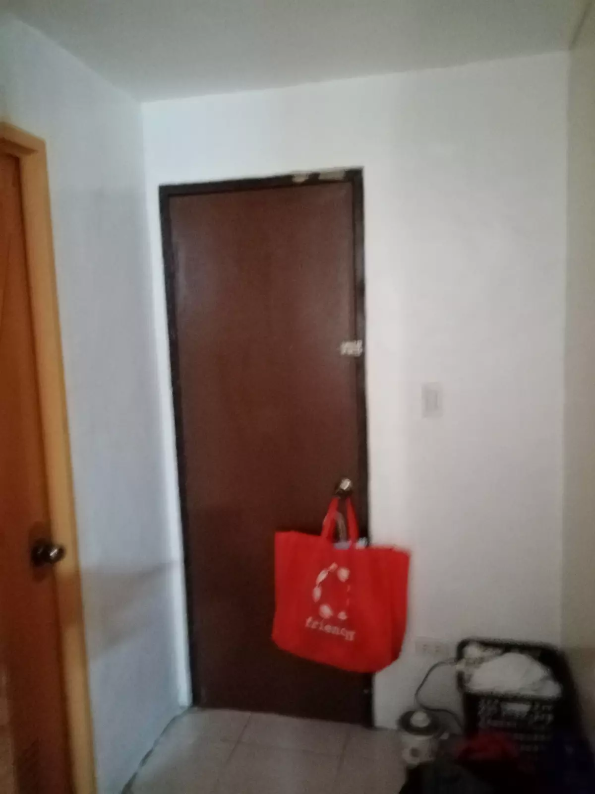 Padtype for Assume in Princess Homes - photo 4