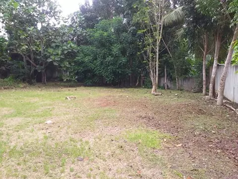Residential Lot in Tagbilaran City - photo 5