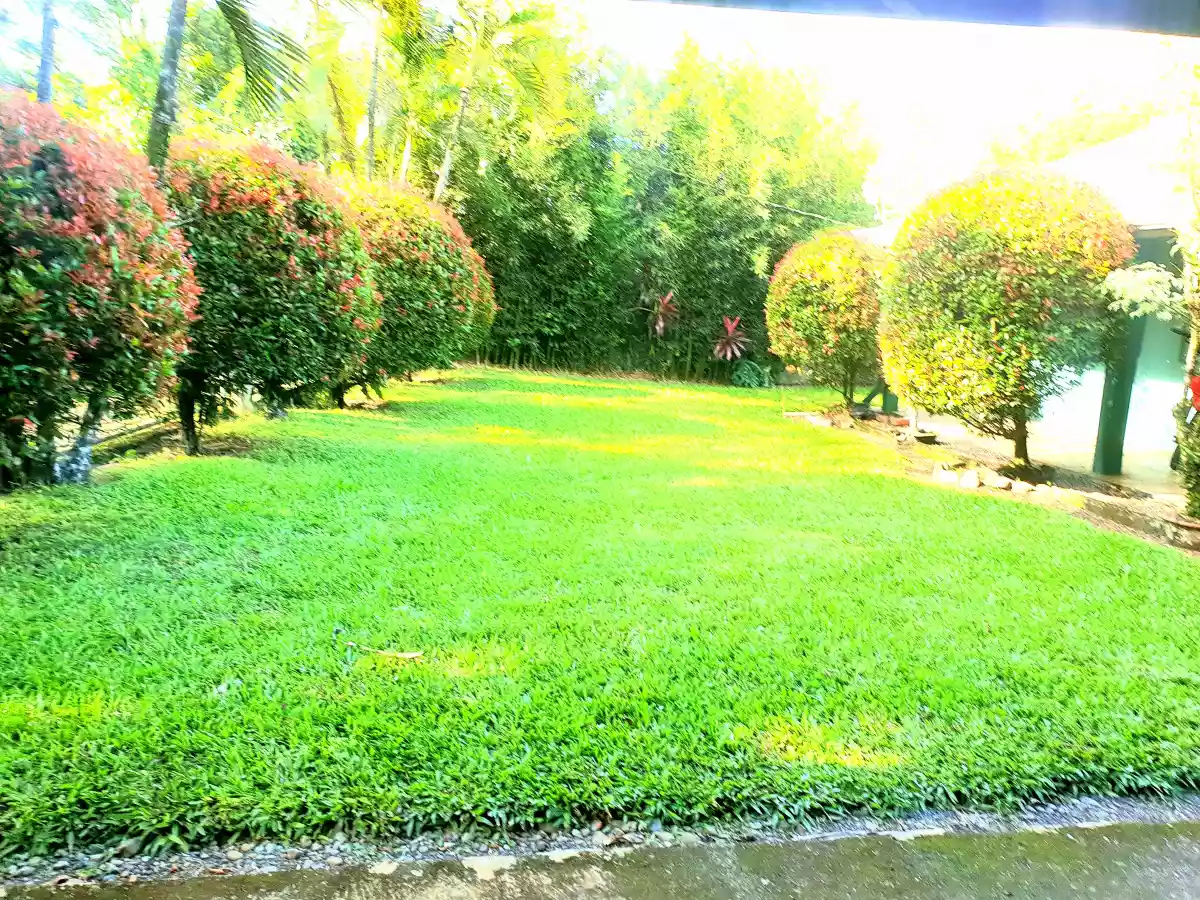 HOUSE and LOT for Sale at Malaybalay City - photo 4