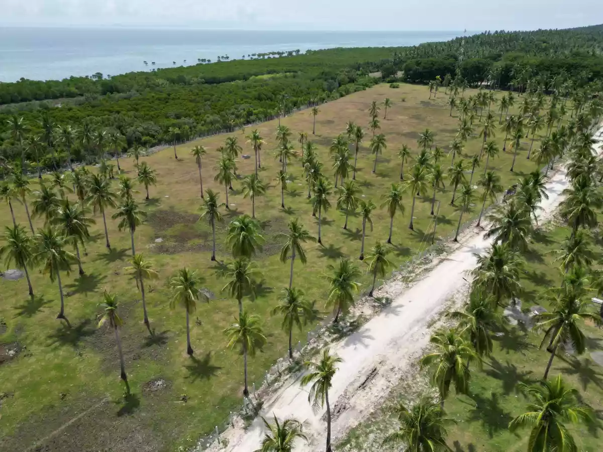 Farm and Beach lot for Sale in Quezon Province — Agricultural Lot in Quezon, Philippines — Photo 2
