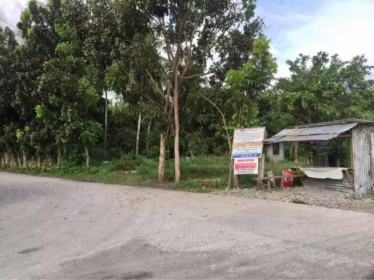 1188sqm at Ligaya along road — Residential Lot in General Santos City, South Cotabato, Philippines — Photo 4