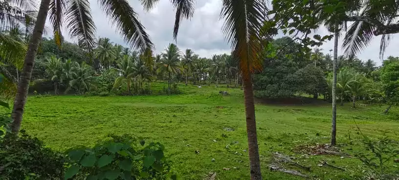 Agricultural Lot For Sale — Agricultural Lot in Cebu, Philippines — Photo 6