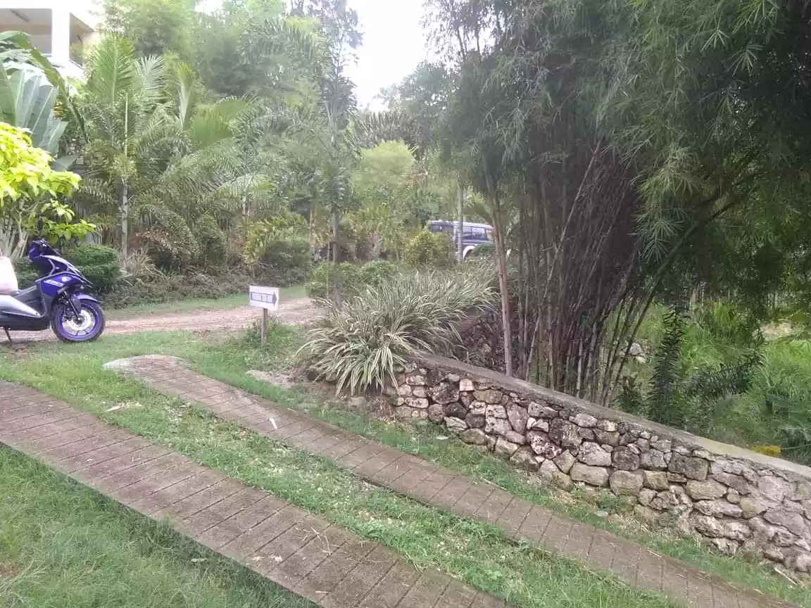 Commercial Lot for Sale with Conference/Function Hall — Commercial Lot in Carcar City, Cebu, Philippines — Photo 4