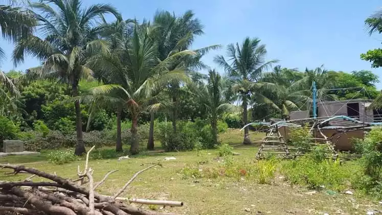 Beachlot for sale - photo 5