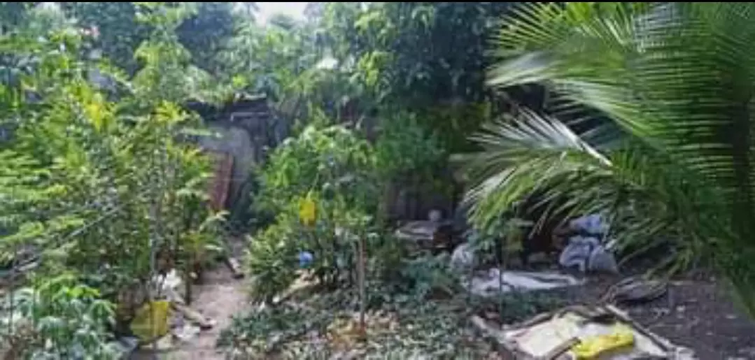 Residential Lot for Sale — Residential Lot in Cebu City, Cebu, Philippines — Photo 5