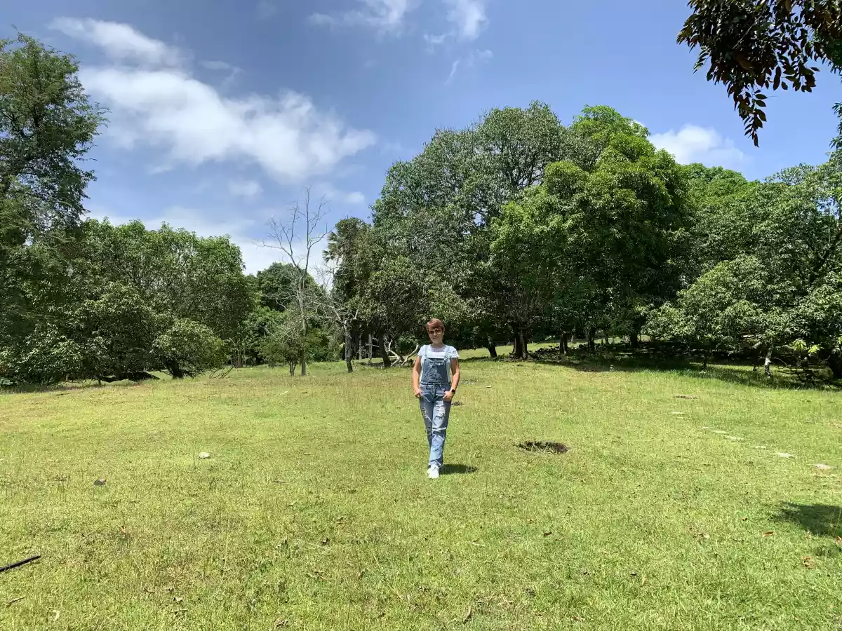 Farm lot in Napo, Carcar for sale  - photo 6