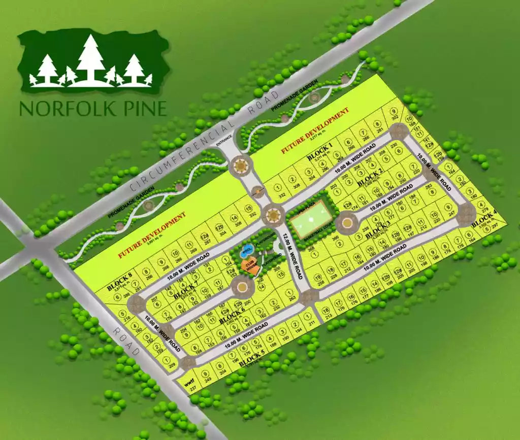 Corner Lot at Norfolk Pine Subdivision in General Santos - photo 7