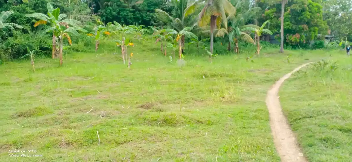FOR SALE : 28, 301 SQM LOT IN BARILI, CEBU - photo 4