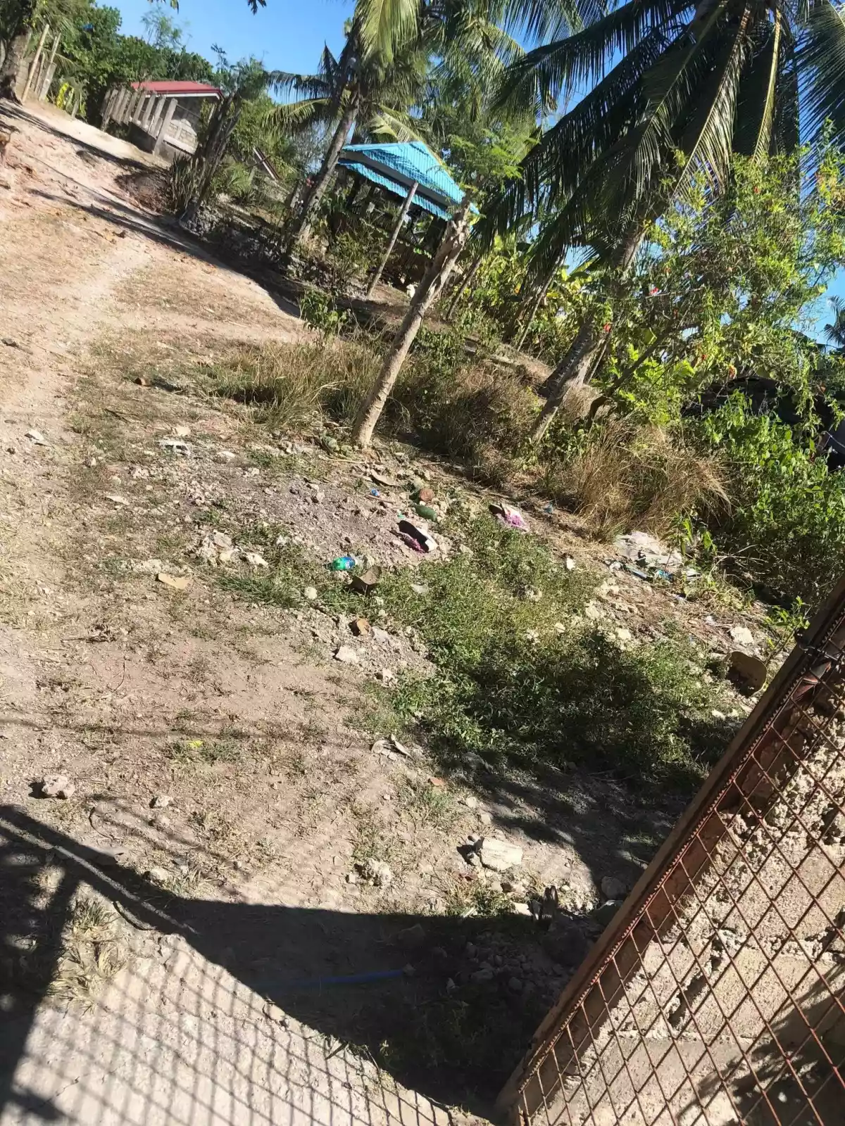 406 SQM IN NAGA CEBU - photo 3