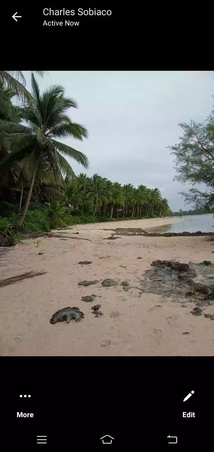 WHITE SAND BEACH LOT — Beach Lot in Baganga, Davao Oriental, Philippines — Photo 4