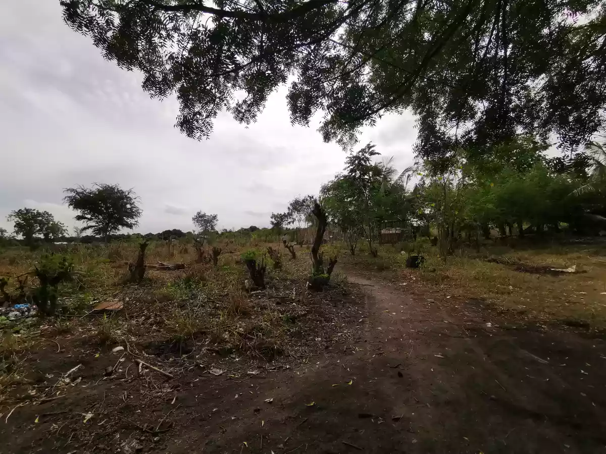 1000sqm and 1500sqm Lot at the Back of TLG Mabuhay  - photo 6