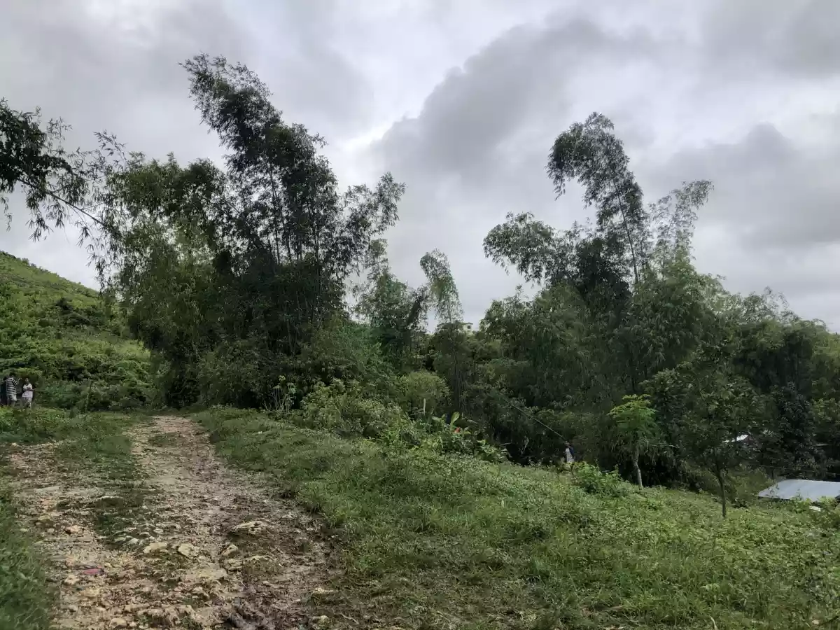 Lot for Sale Ideal for Warehouse or Pocketsized Subdivision - photo 6