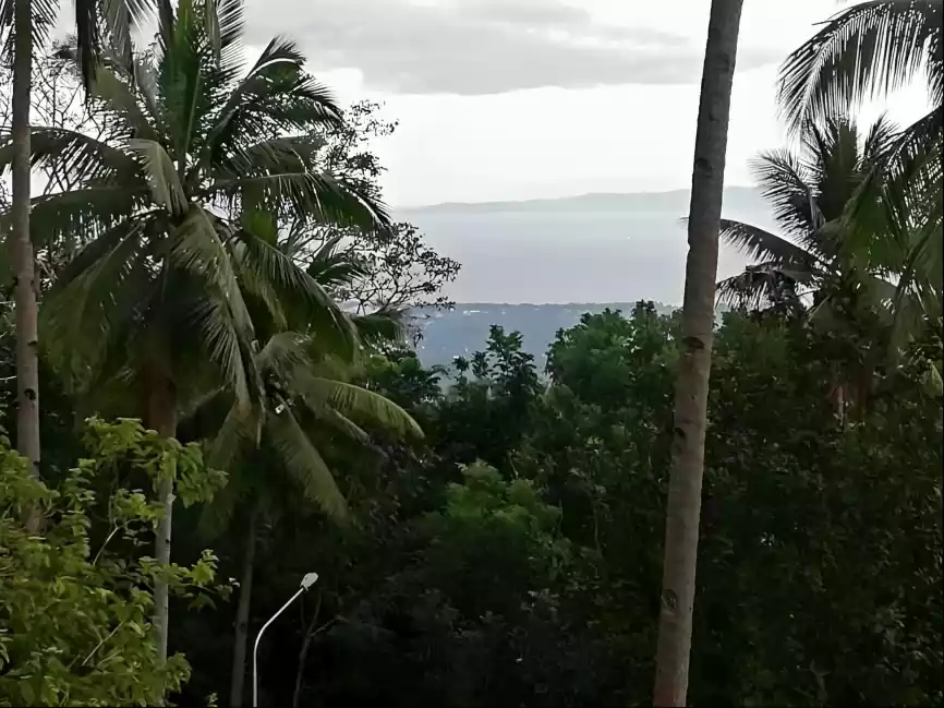 LOT FOR SALE - photo 4