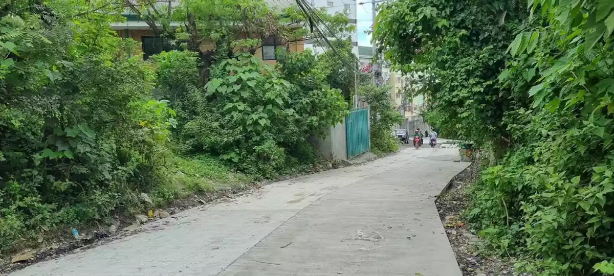 Lot for Sale in Banawa, Cebu City  - photo 4