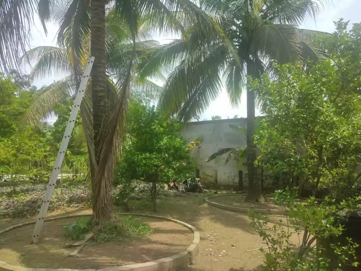 Open photo 11 of 11 — House and Lot for SALE