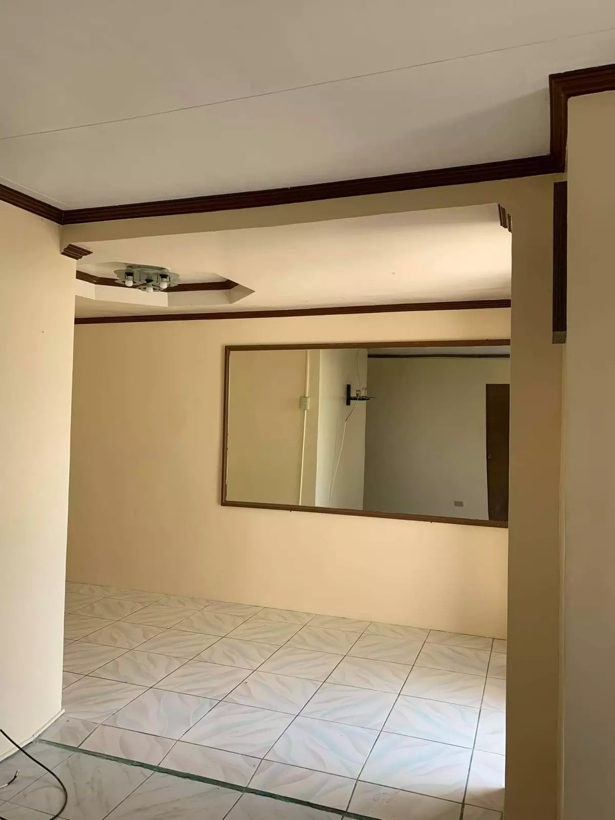 Single detached house in Minglanilla - photo 4
