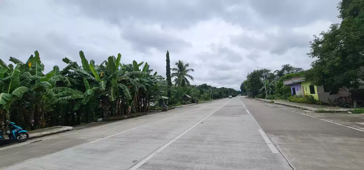 LOT along Sibulan Diversion Road — Residential Lot in Sibulan, Negros Oriental, Philippines — Photo 4