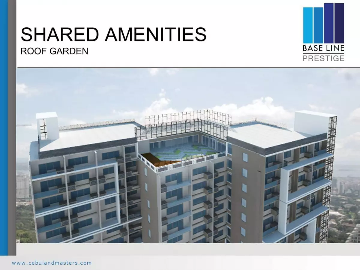 FOR ASSUME BASELINE PRESTIGE - photo 4