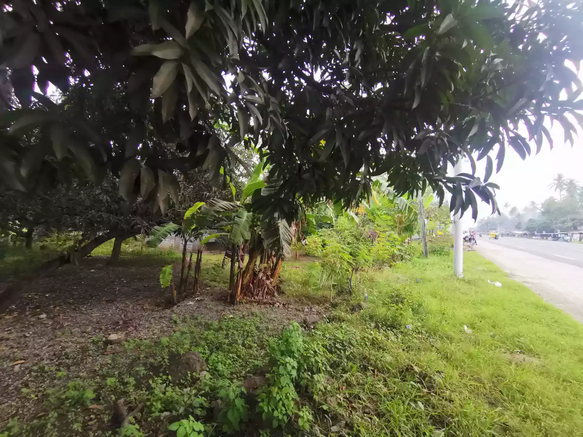 1200sqm Lot with House along the National Highway of Municipality of Sulop Davao Del Sur — Commercial Lot in Pan-Philippine Highway, Sulop, Davao del Sur — Photo 2