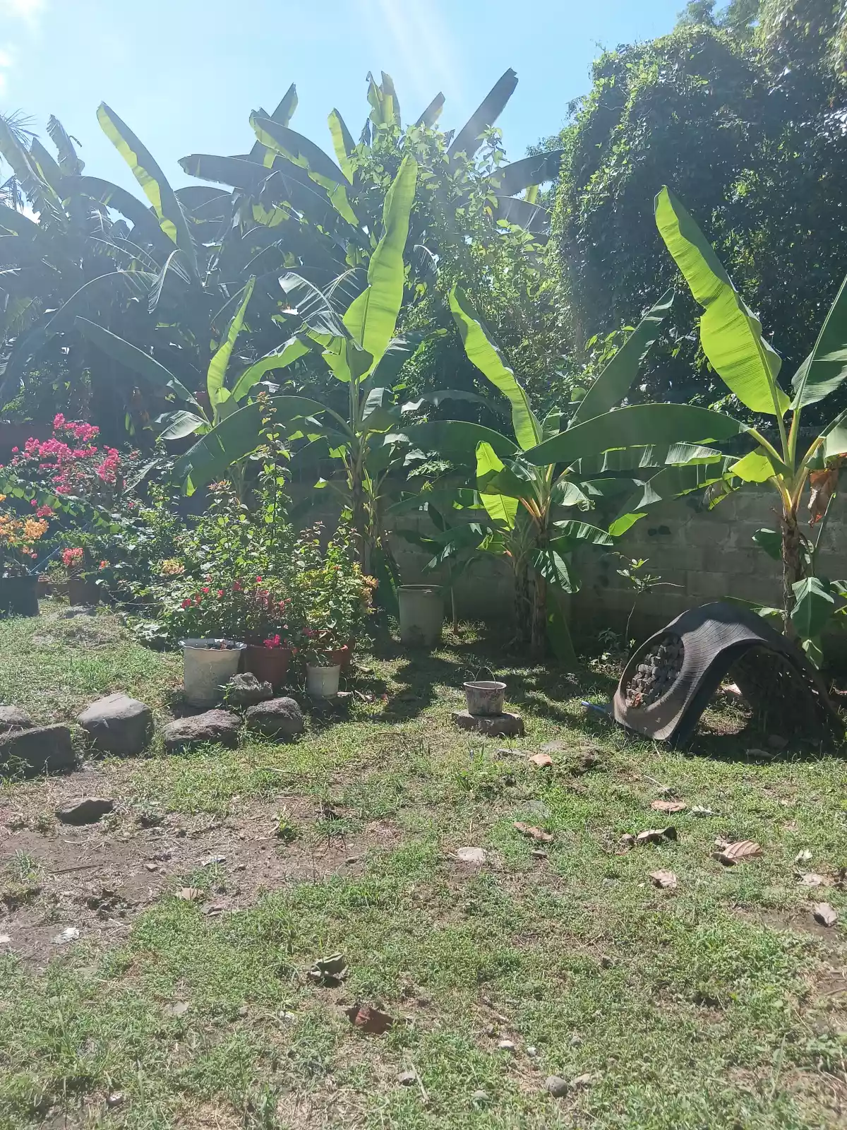 Clean Title Lot for Sale in Bantayan, Dumaguete City — Residential Lot in Dumaguete, Negros Oriental, Philippines — Photo 3