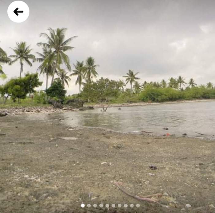 Beach lot Moalboal For Sale - photo 7