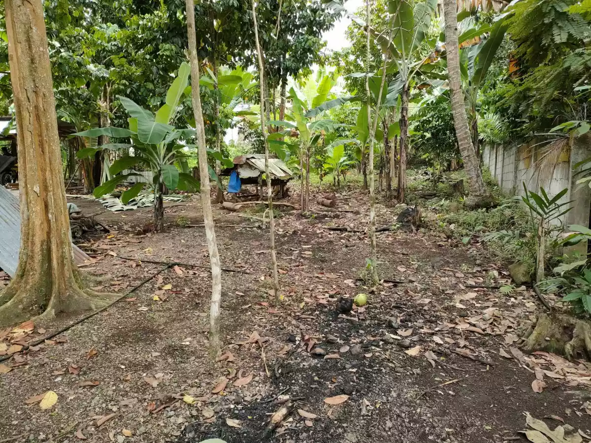 429 SQM. LOT FOR SALE IN JAWA VALENCIA - photo 5
