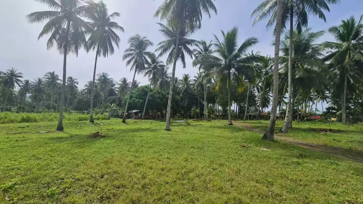 Beach Lot for sale — Beach Lot in Malapatan, Sarangani, Philippines — Photo 3