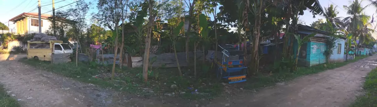 Rush Lot for Sale in Minglanilla Cebu — Residential Lot in Cebu, Philippines — Photo 3