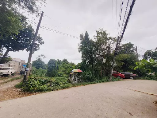 Open photo 15 of 21 — Cordova BIG LOT for SALE near CCLEX Cebu