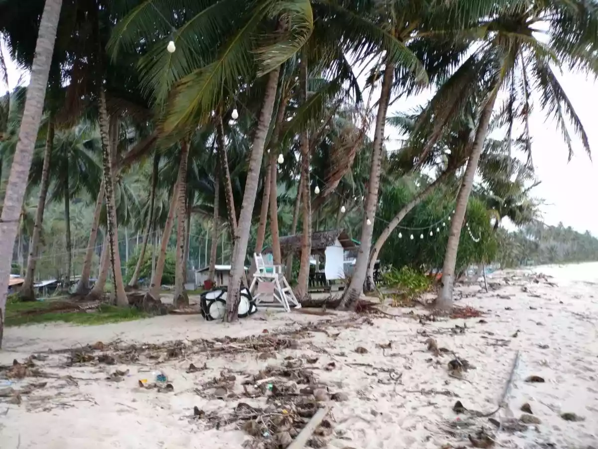 Prestine Beach Lot For Sale with shoreline - photo 6
