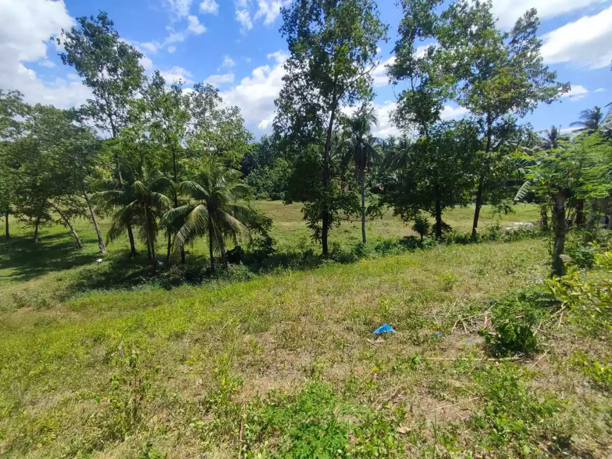 LOT FOR SALE - photo 2