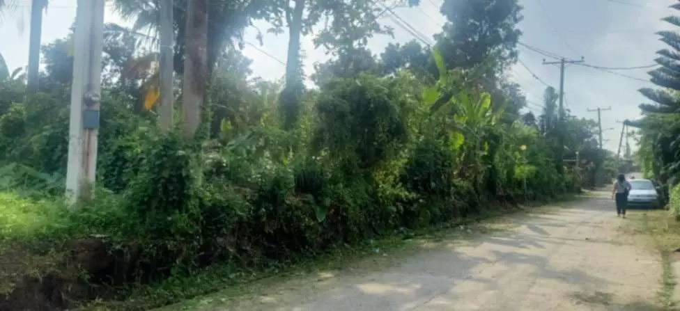 For Sale: 1,000sqm Lot in Buho Silang, Tagaytay Road – Near CALAX Exit — Residential Lot in Amadeo, Cavite, 4119 — Photo 4