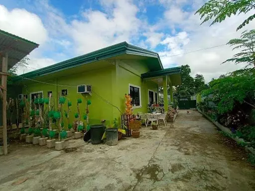 Residential with Commercial Mini Grocery corner lot  - photo 4