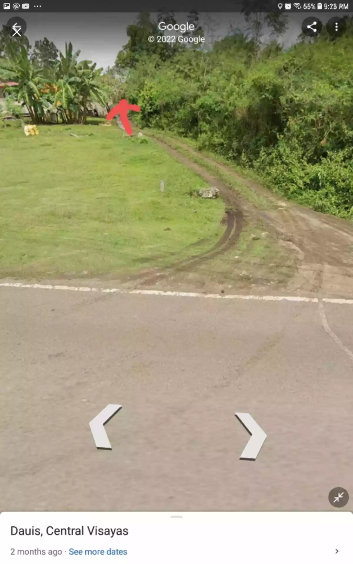 lot only — Residential Lot in Songculan, Dauis, Bohol — Photo 2