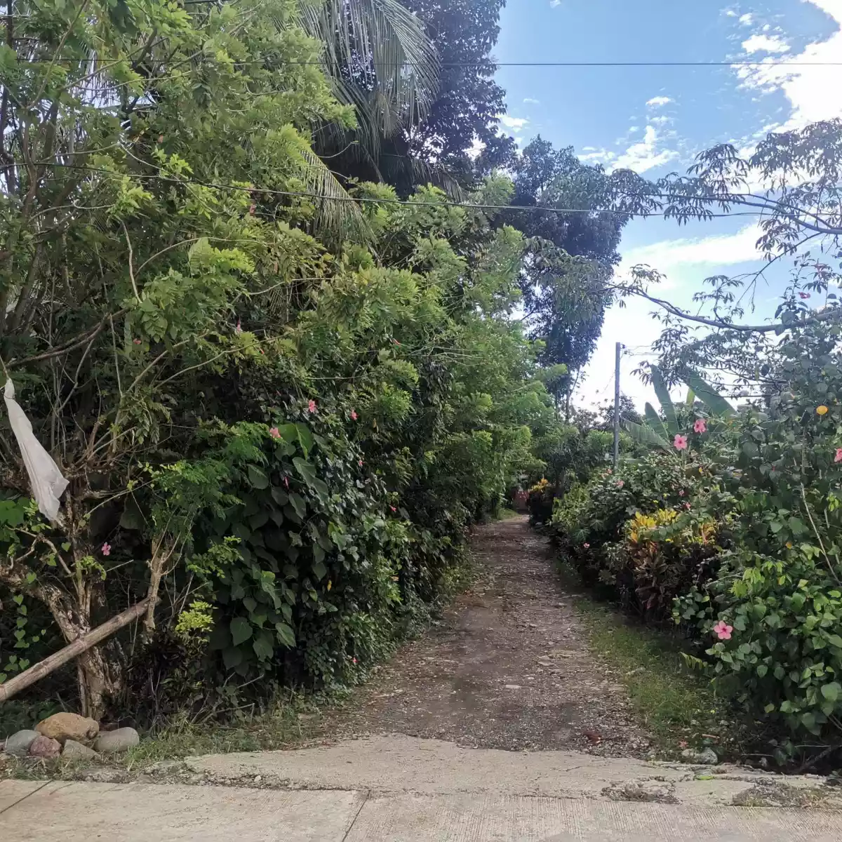 LOTS FOR SALE IN JANIUAY, ILOILO (with clean title each lot) — Residential Lot in Janiuay, Iloilo, Philippines — Photo 5