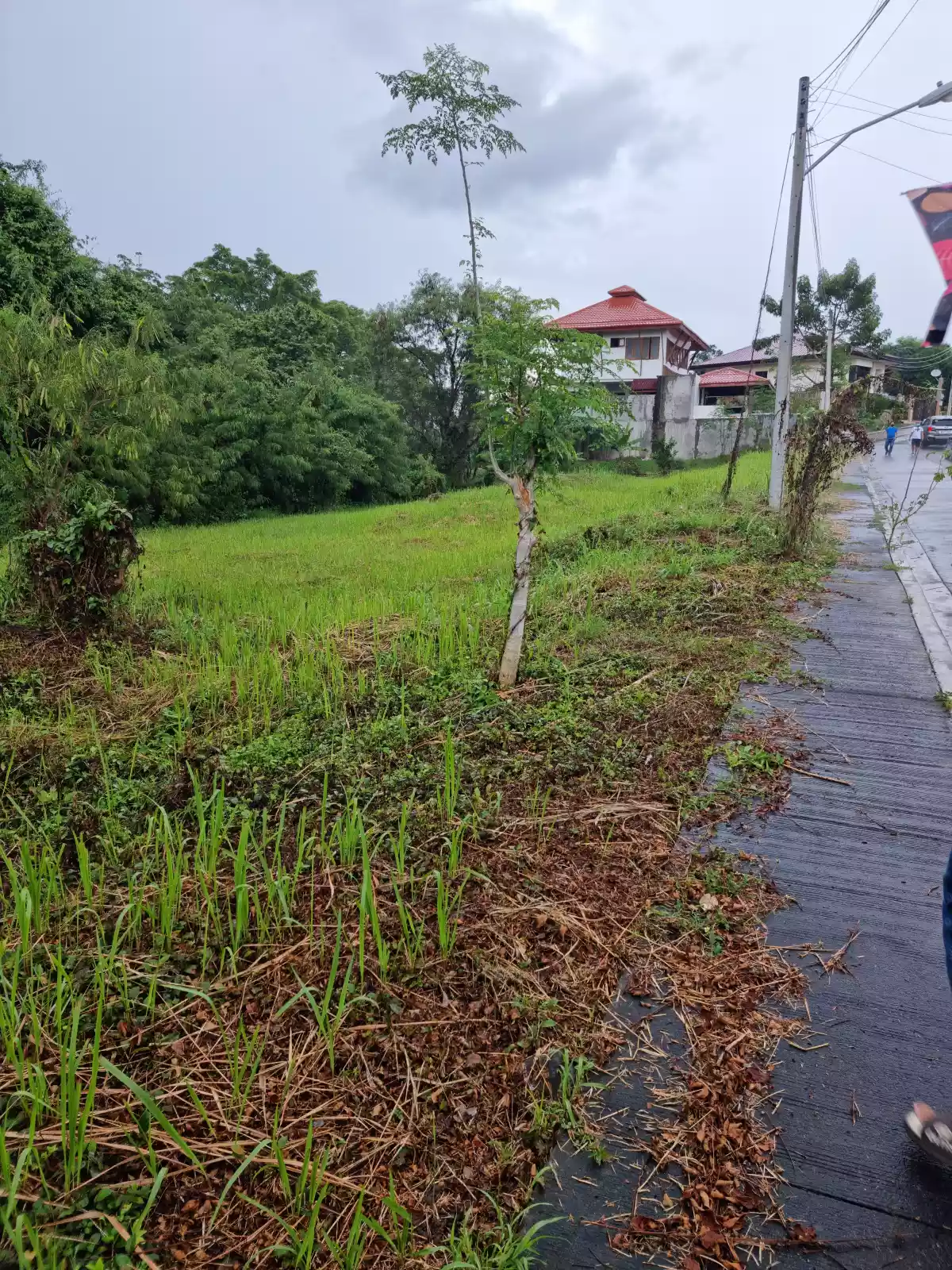 Pueblo Golf Estates Fairway Lot for Sale - photo 3