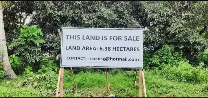 Agricultural Land For Sale in Dolo, Bansalan - photo 2