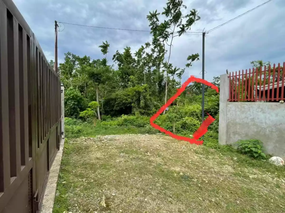 RESIDENTIAL LOT-DAO TAGBILARAN — Residential Lot in Tagbilaran City, Bohol, Philippines — Photo 3